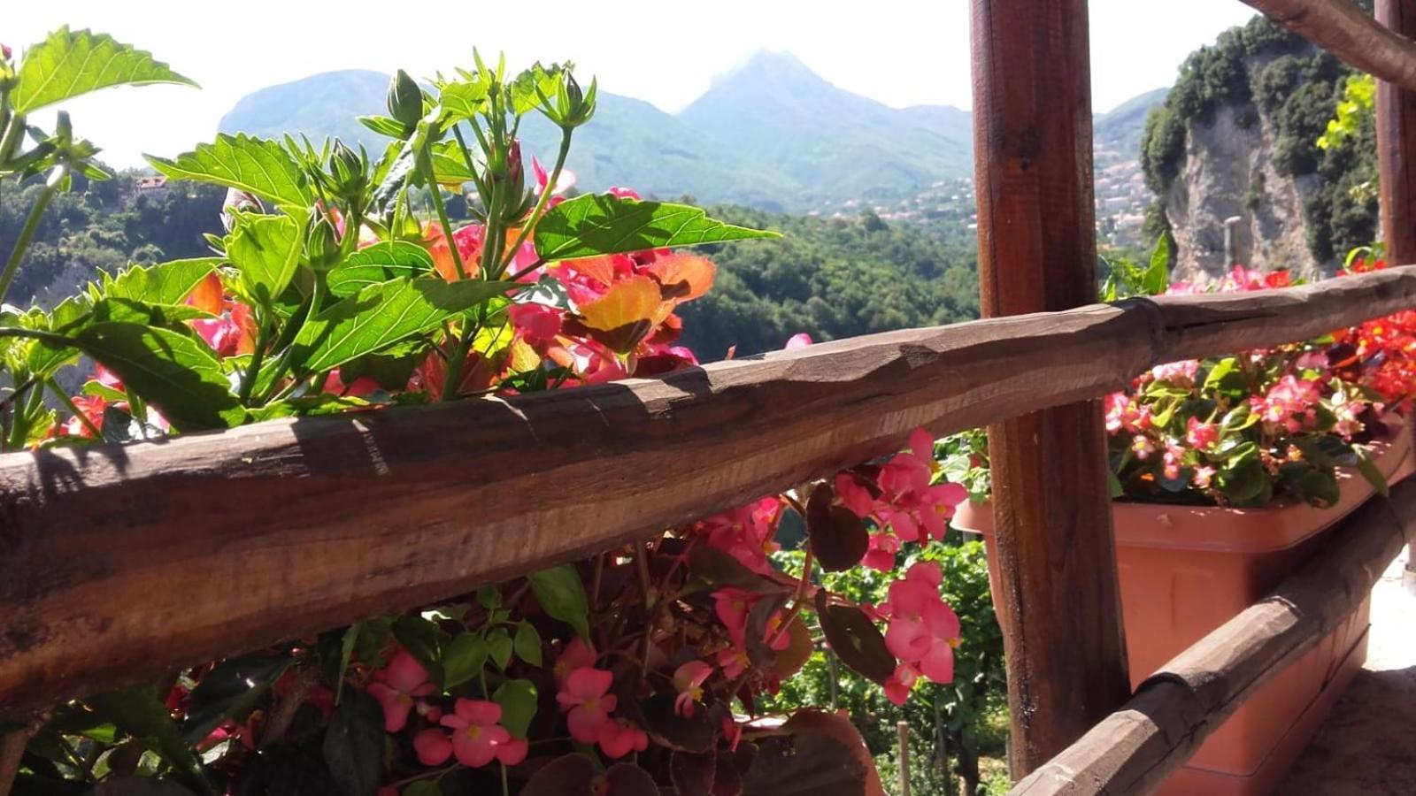 Agriturismo Orrido Di Pino อาเจโรลา ภายนอก รูปภาพ