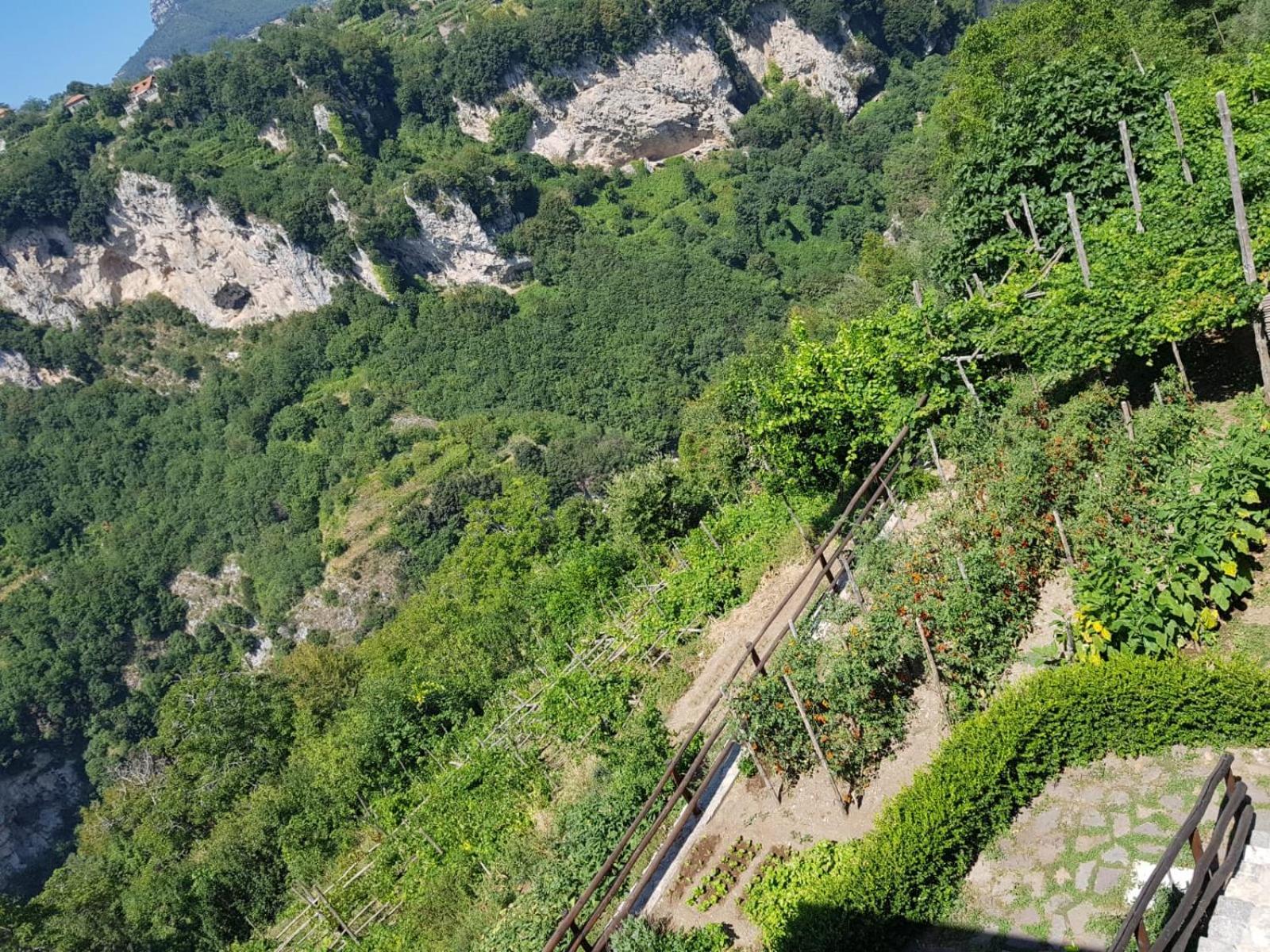 Agriturismo Orrido Di Pino อาเจโรลา ภายนอก รูปภาพ