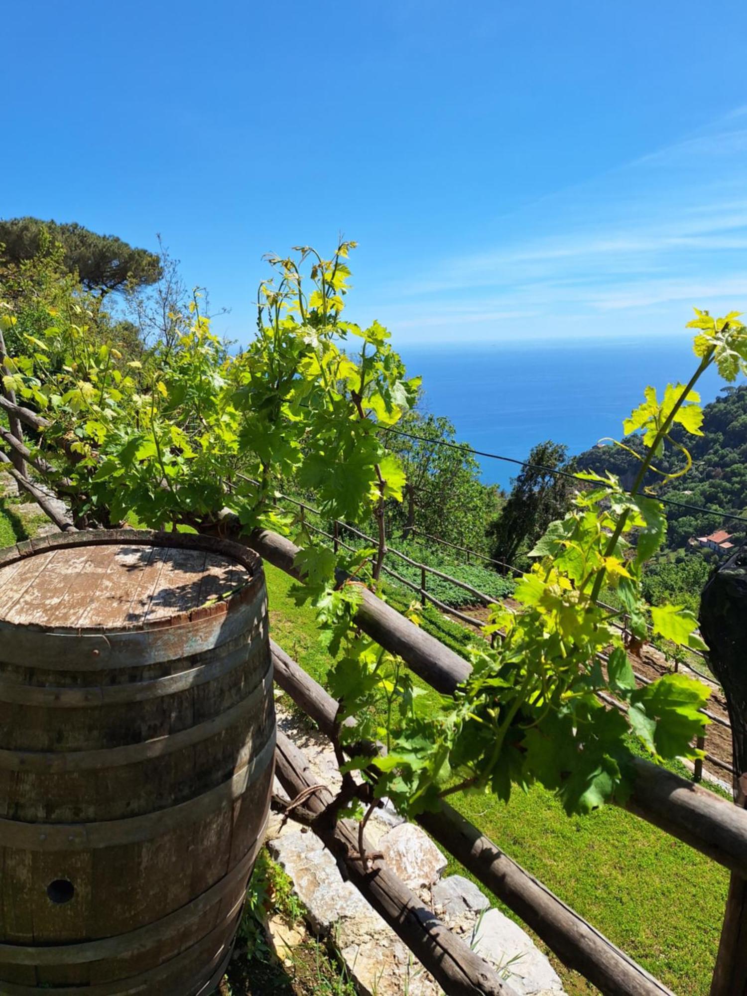 Agriturismo Orrido Di Pino อาเจโรลา ภายนอก รูปภาพ