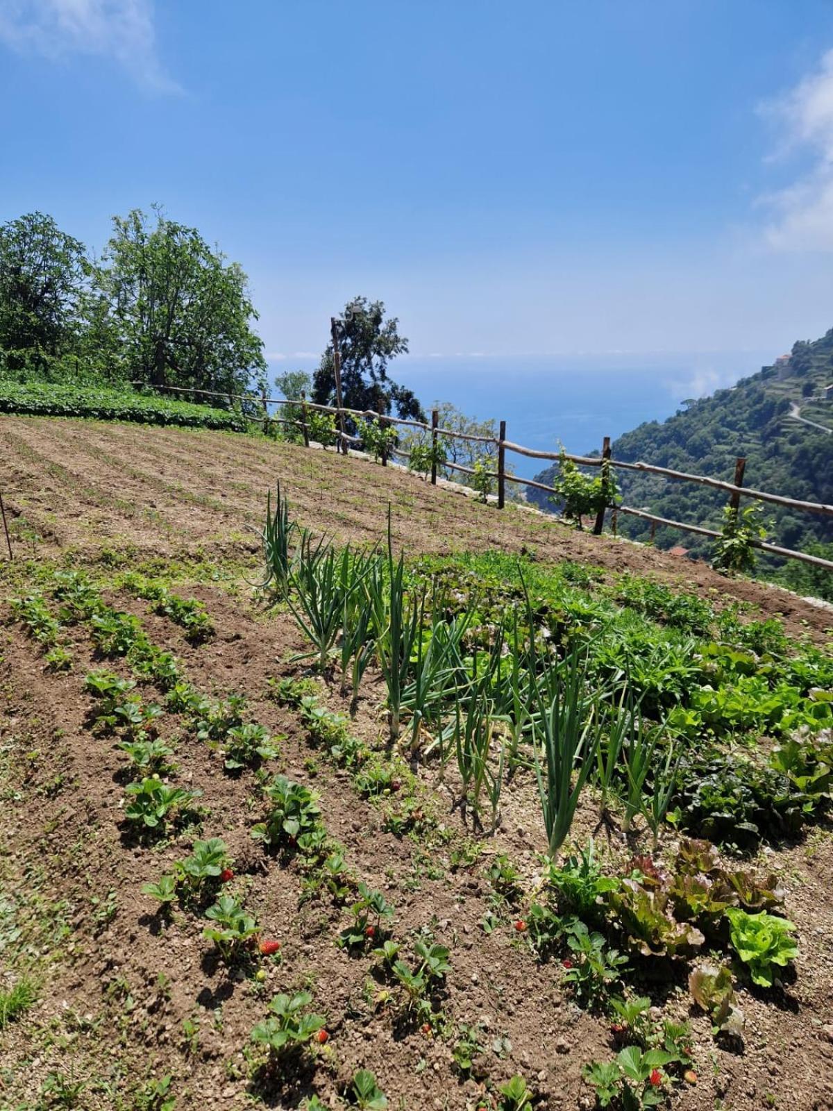 Agriturismo Orrido Di Pino อาเจโรลา ภายนอก รูปภาพ