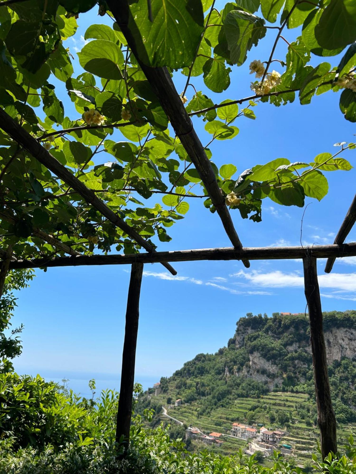 Agriturismo Orrido Di Pino อาเจโรลา ภายนอก รูปภาพ