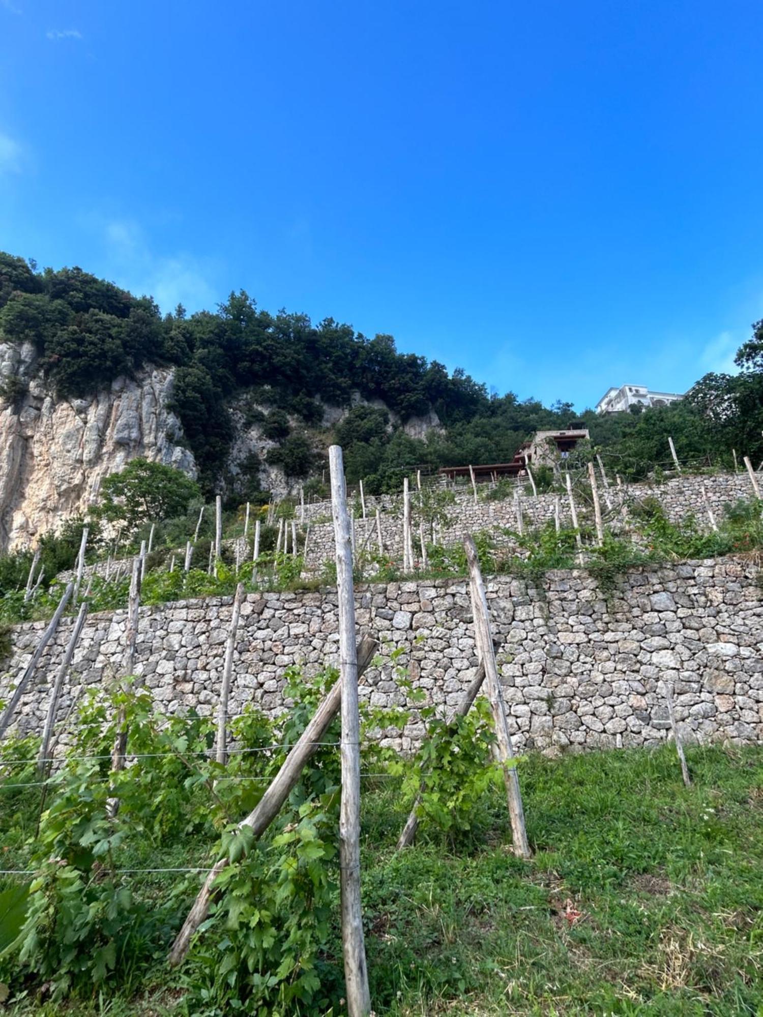 Agriturismo Orrido Di Pino อาเจโรลา ภายนอก รูปภาพ