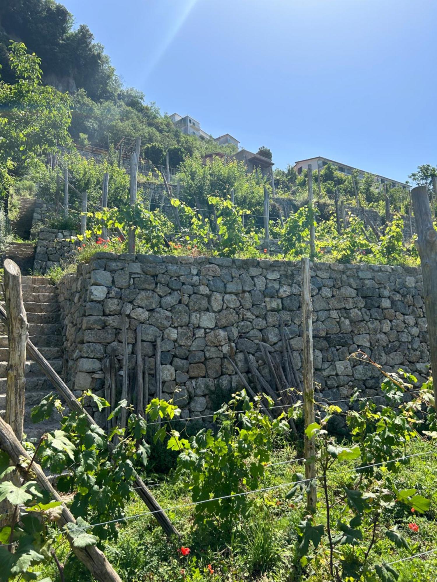Agriturismo Orrido Di Pino อาเจโรลา ภายนอก รูปภาพ